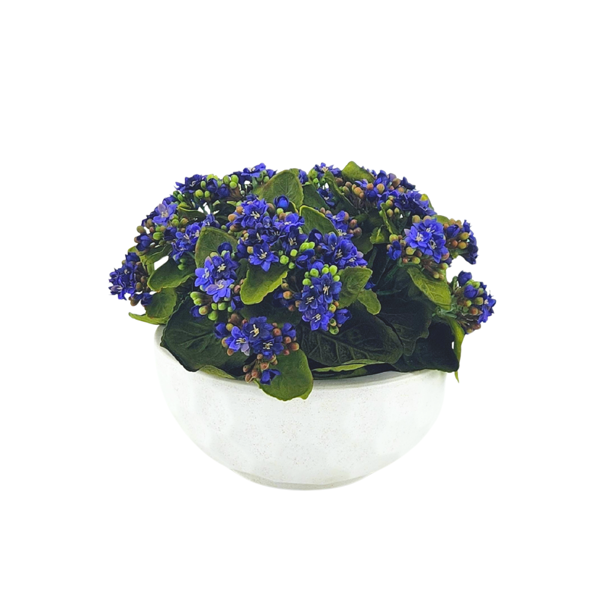 Faux Violet Kalanchoe in Stone White dimpled ceramic bowl, on a white background, by House of Silk Flowers.