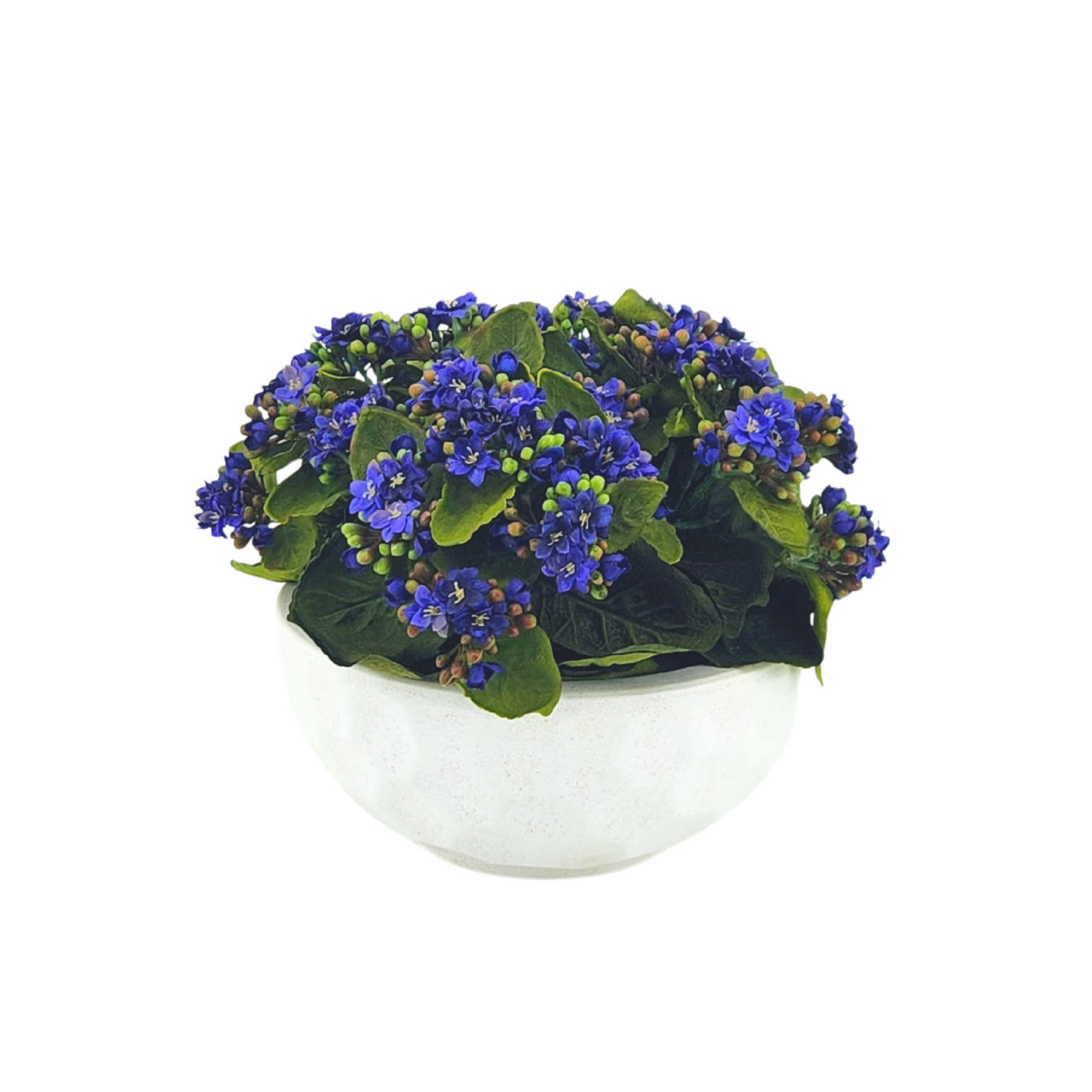 Faux Violet Kalanchoe in Stone White dimpled ceramic bowl, on a white background, by House of Silk Flowers.