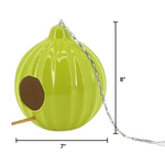 Green birdhouse shaped like an avocado with dimensions on a white background