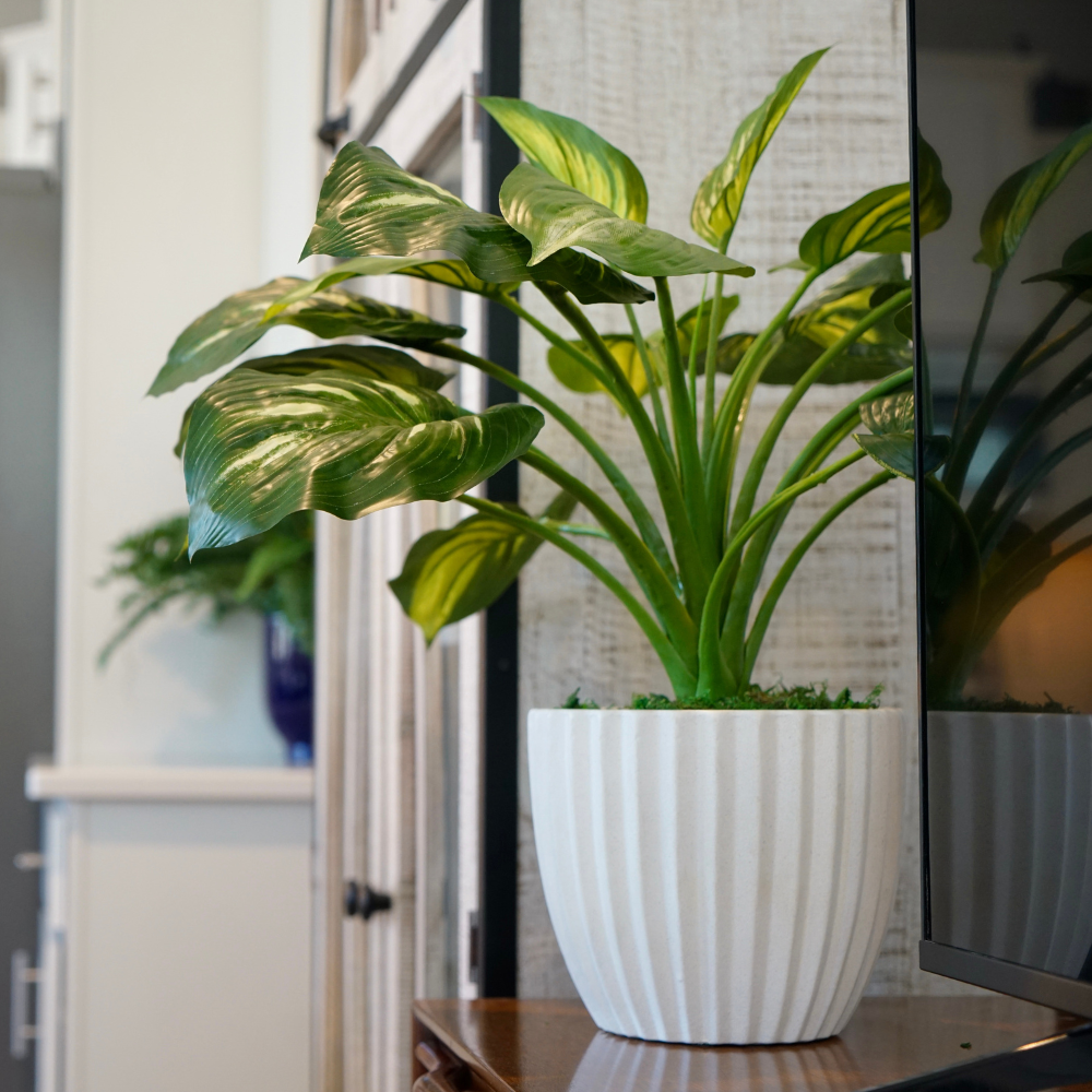 23" Faux Hosta in a Stone Wash White Tapered Ceramic