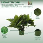 Faux Green Caladium in green nursery pot, highlighting product features, on a green-white gradient background.