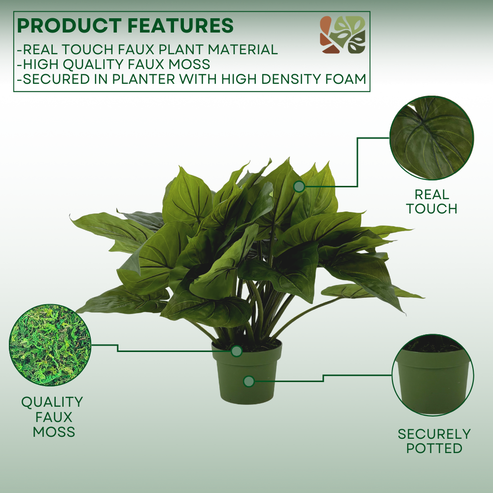 Faux Green Caladium in green nursery pot, highlighting product features, on a green-white gradient background.