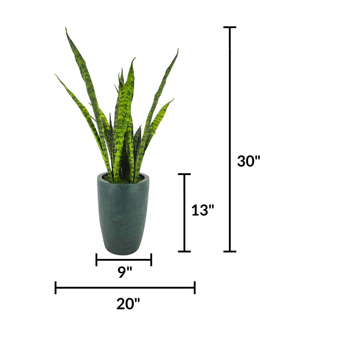 Faux 30" variegated snake plant in gator green planter against a white background, featuring measurements, by House of Silk Flowers.