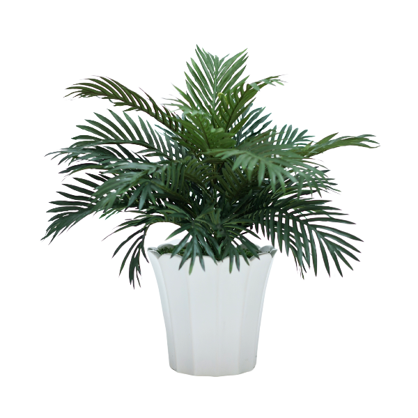 26" Parlor Palm in Glossy White Ceramic
