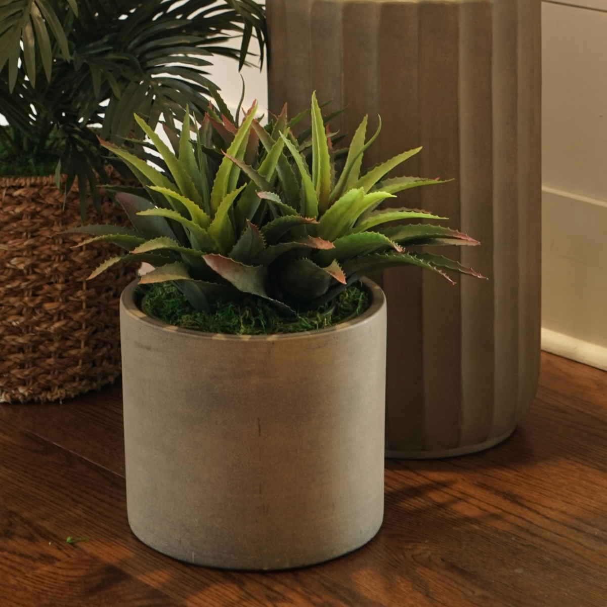 16" Agave Red Tipped Leaf in Cement Gray Ceramic