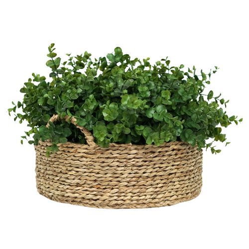 12" Eucalyptus in Natural Seagrass Basket