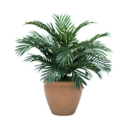 29" Parlor Palm in Matte Medium Terracotta Ceramic