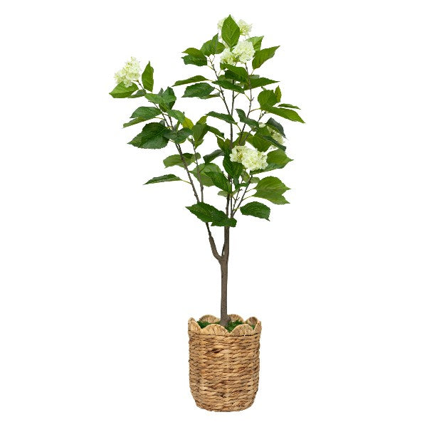 55" Hydrangea Tree in Natural Hyacinth Basket