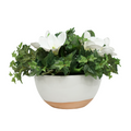 14" White Magnolia in Glossy White Ceramic
