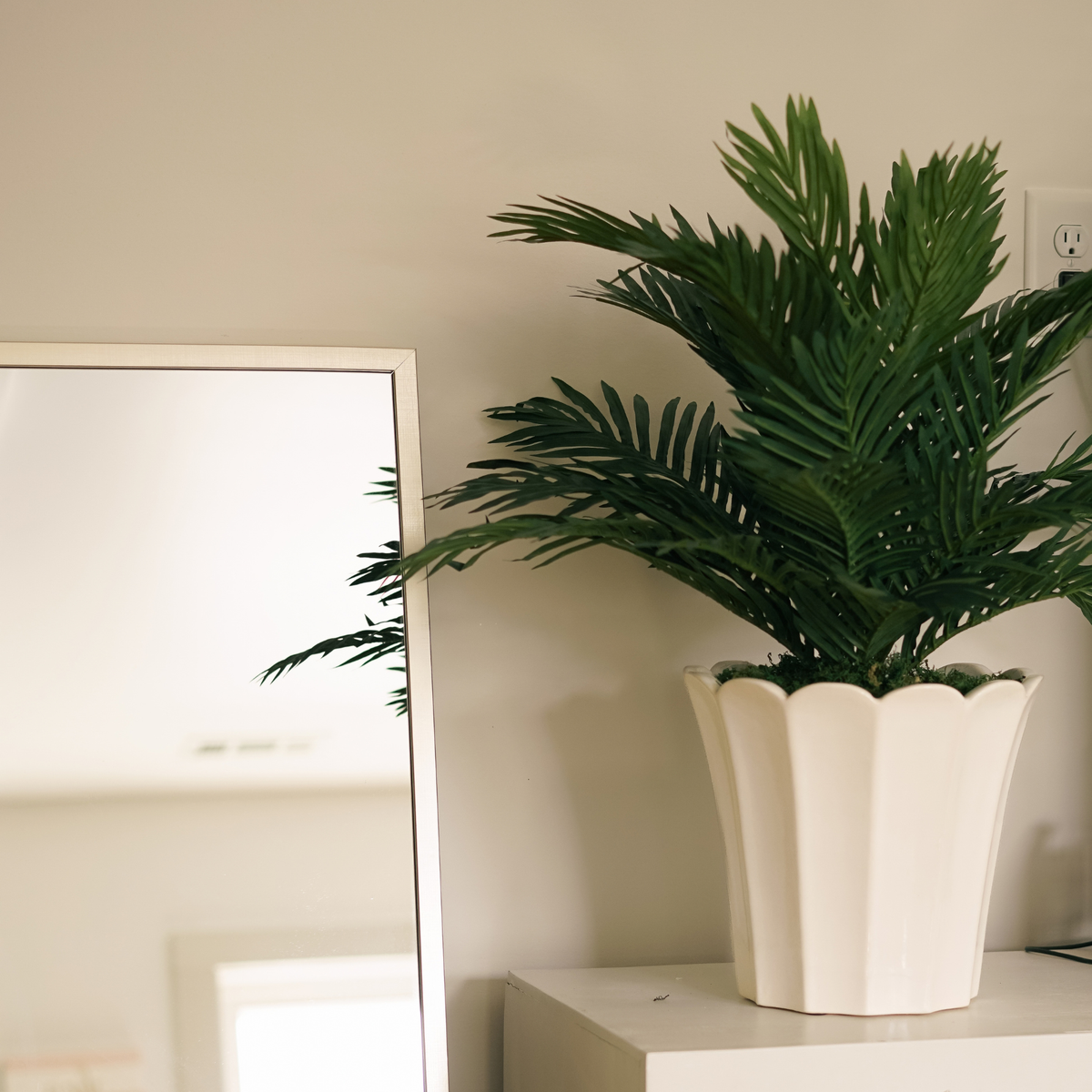 26" Parlor Palm in Glossy White Ceramic