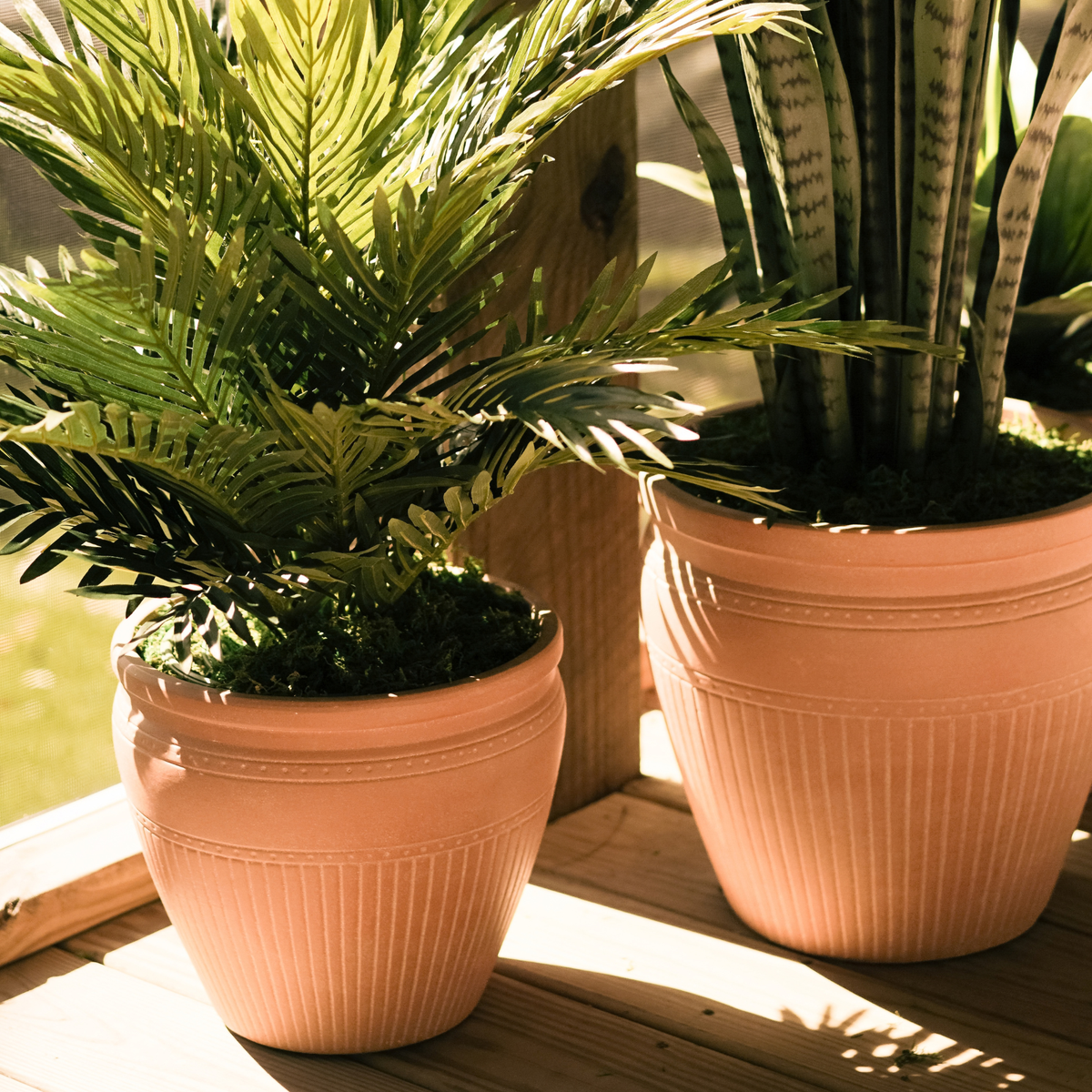 31" Parlor Palm in Matte Terracotta Ceramic