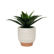 15" Agave in Matte White Ceramic