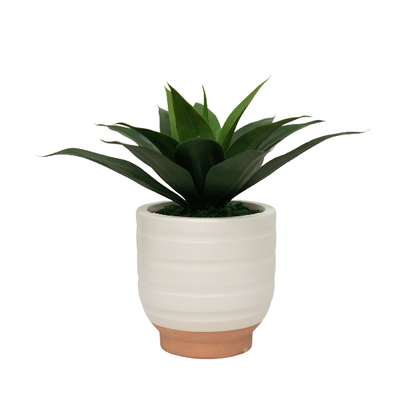 15" Agave in Matte White Ceramic