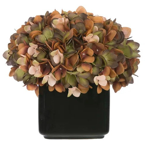 8" Coffee Hydrangea in Glossy Black Ceramic