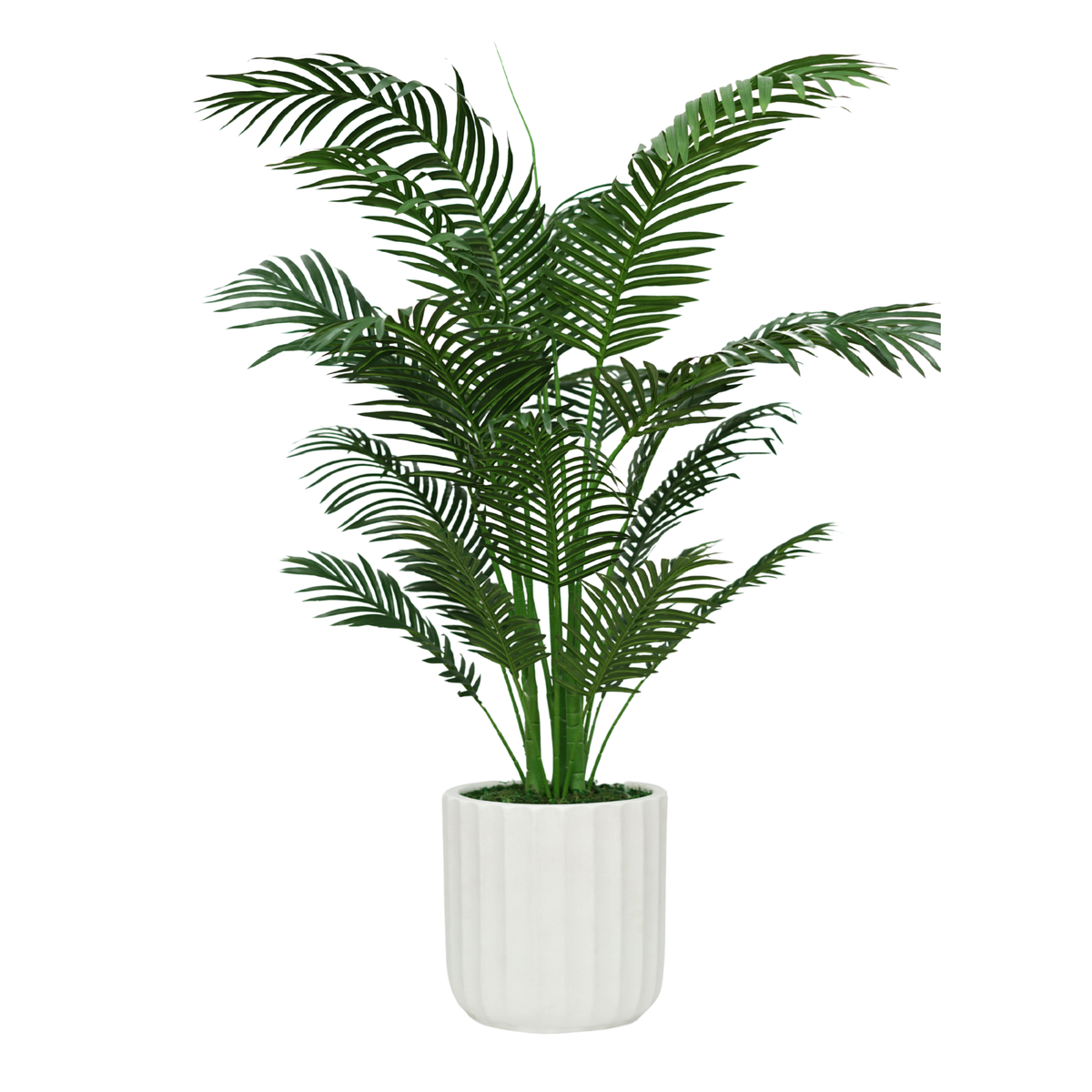 52" Areca Palm in Stone Wash White Ceramic