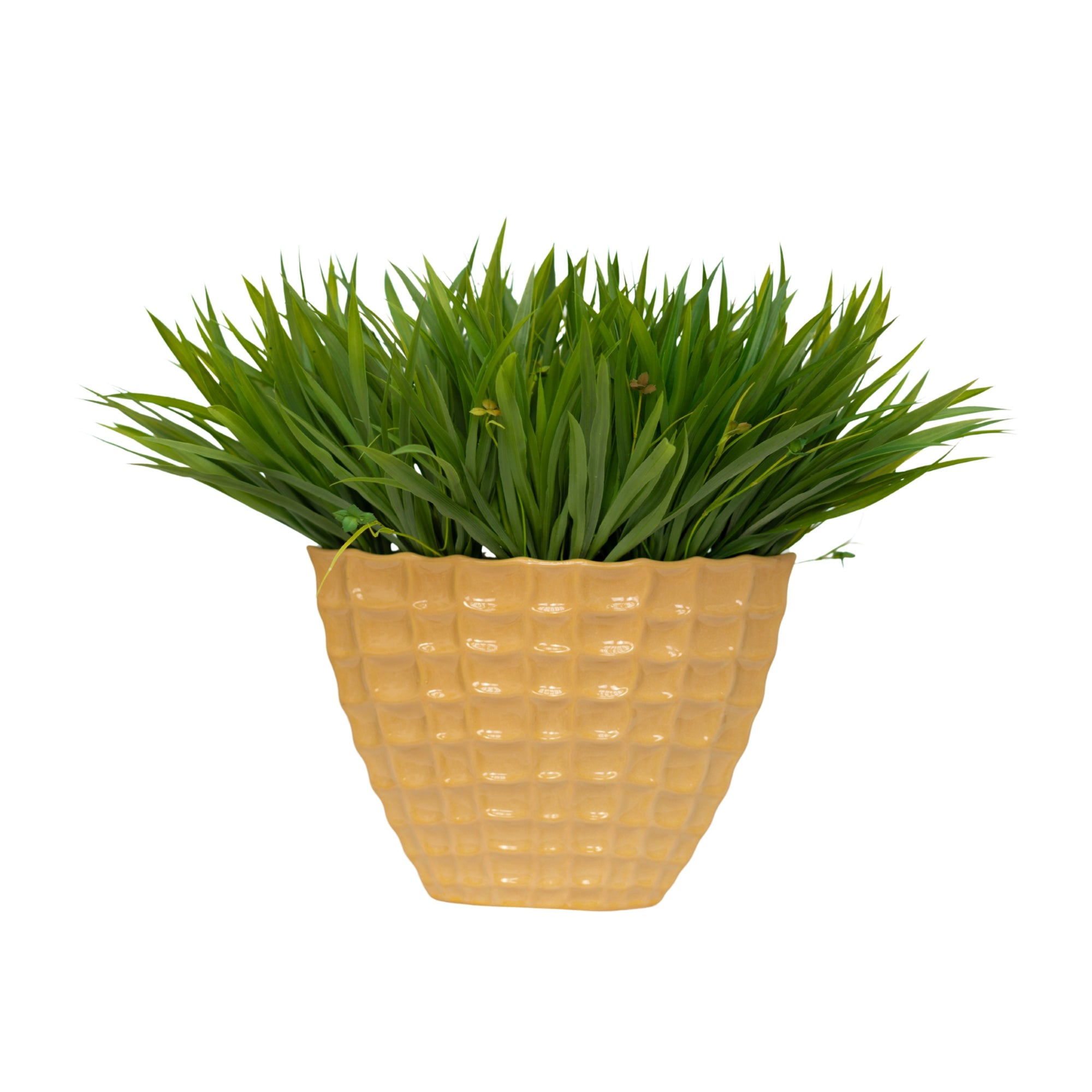 25" Wild Grass in Glossy White Ceramic