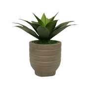 15" Agave in Cement Gray Ceramic