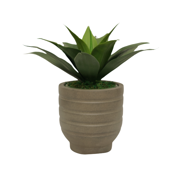 15" Agave in Cement Gray Ceramic