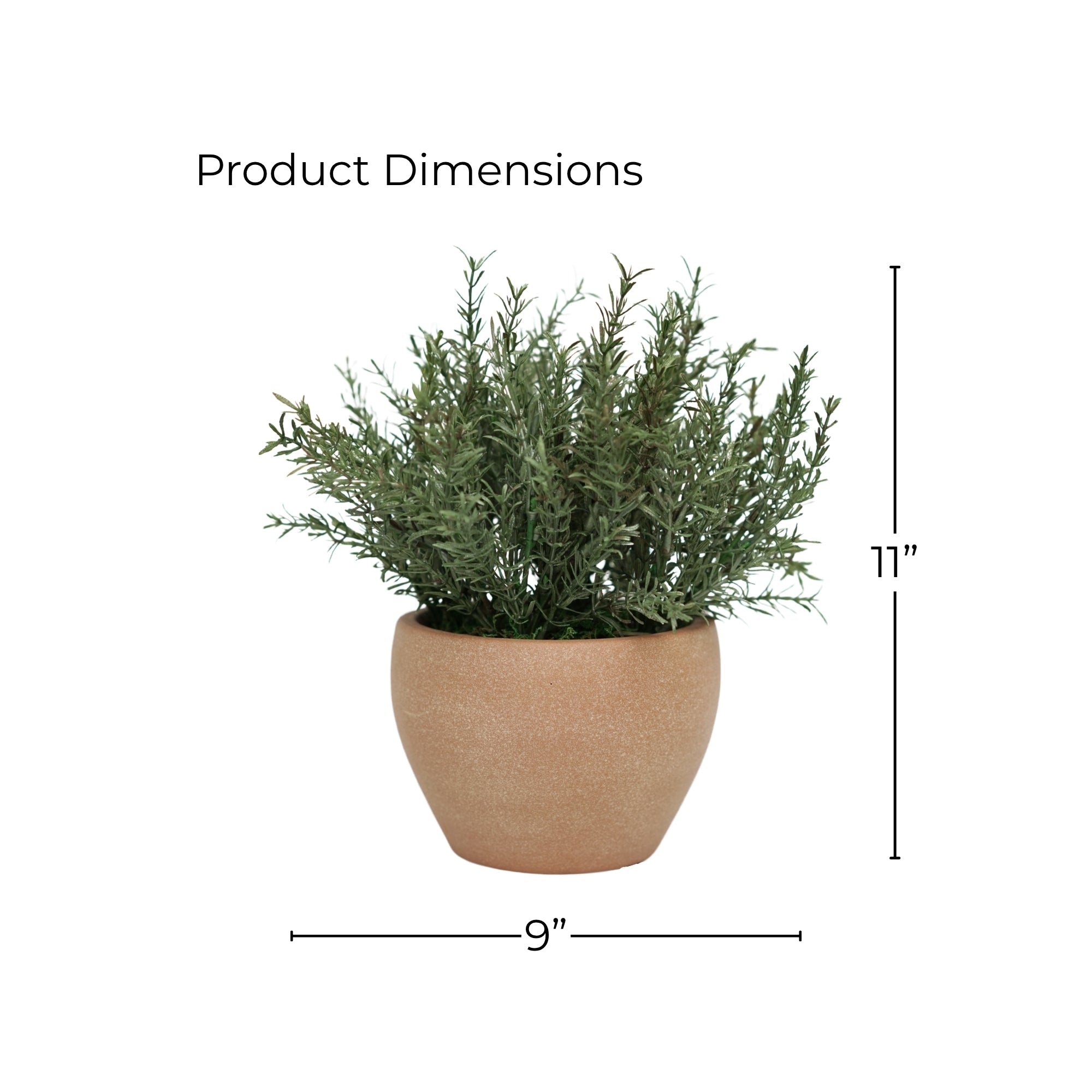 11" Rosemary Bunch in Matte Terracotta Cache Pot