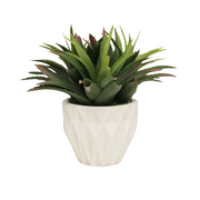 14" Agave Red Tipped Leaf in Stone Wash White Ceramic