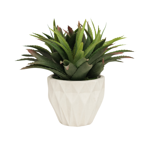 14" Agave Red Tipped Leaf in Stone Wash White Ceramic