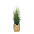 64" Grass in Natural Hyacinth Basket