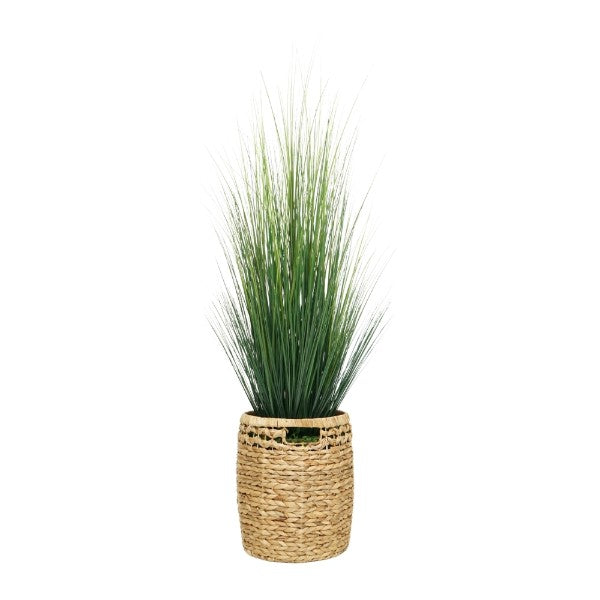 64" Grass in Natural Hyacinth Basket