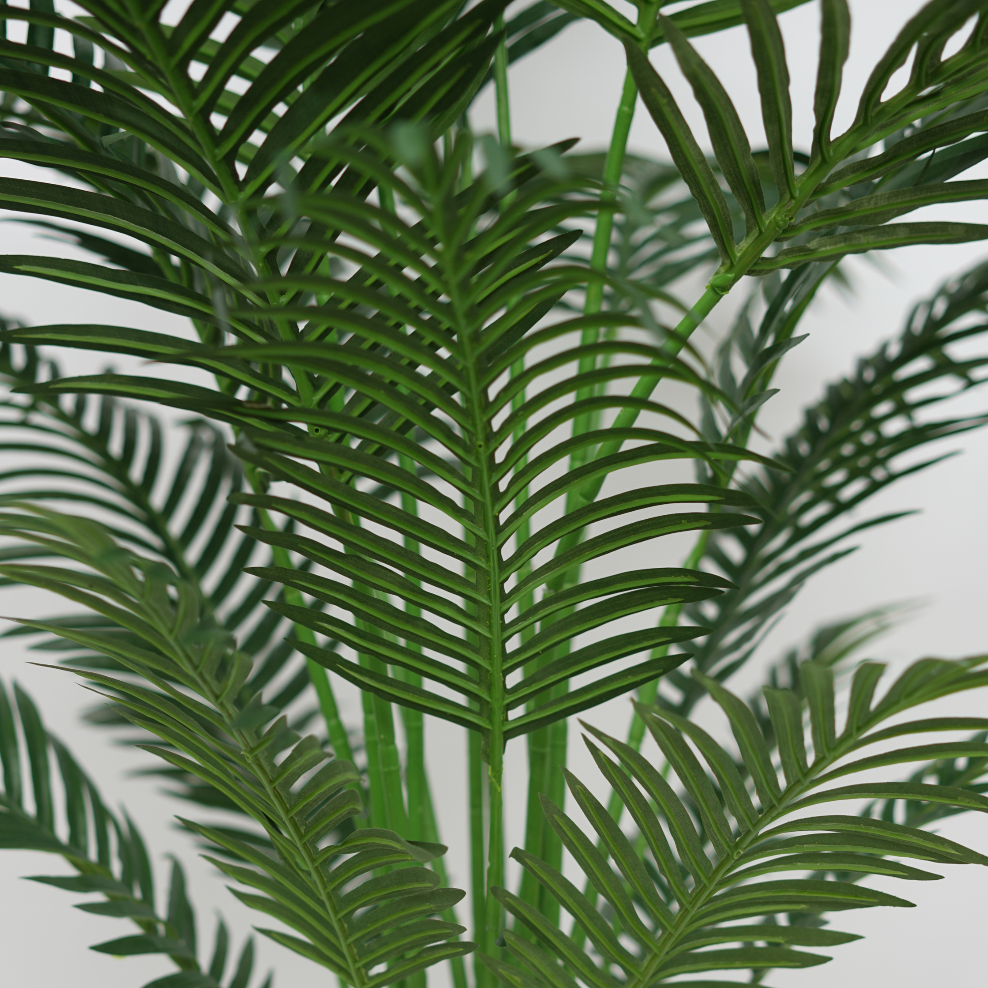 52" Areca Palm in Stone Wash White Ceramic