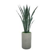 51" Sansevieria in Cement Gray Ceramic
