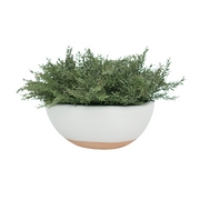 11" Grass in Glossy White Ceramic