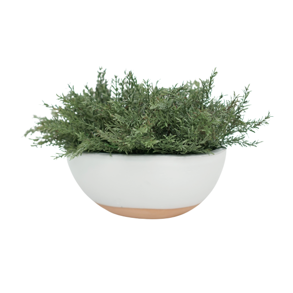 11" Grass in Glossy White Ceramic