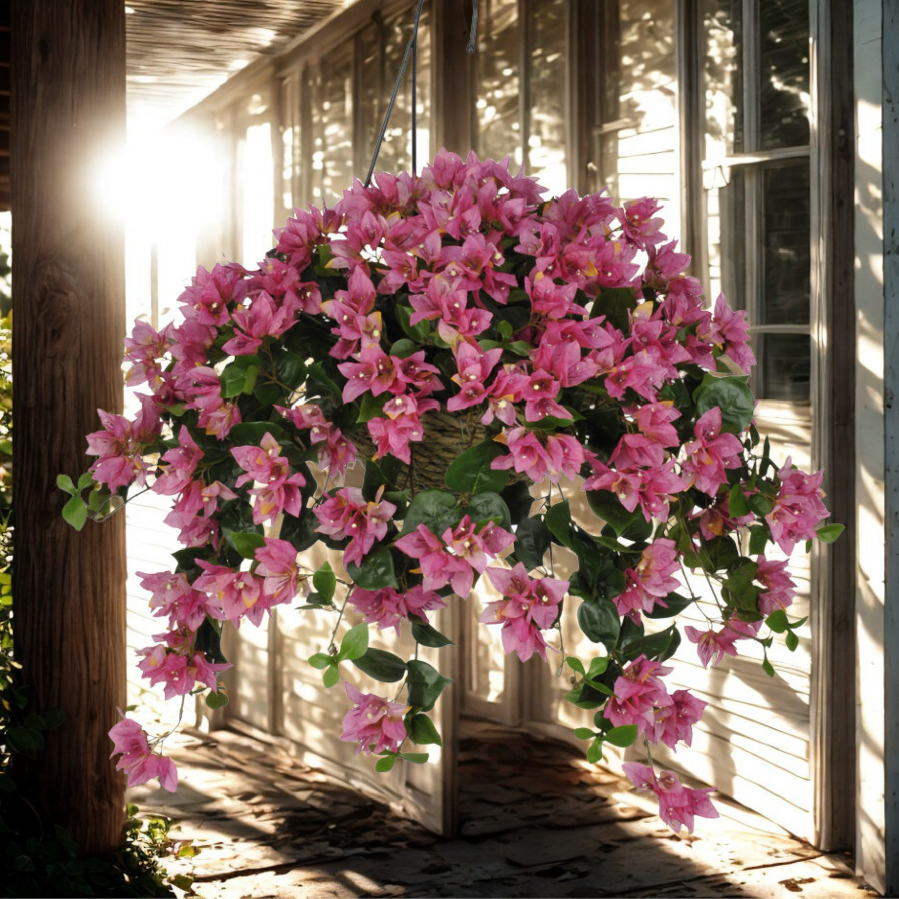 Hanging basket with pink flowers on a porch with diffused lighting