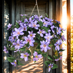 Artificial Clematis Hanging Basket - House of Silk Flowers®
 - Purple environment