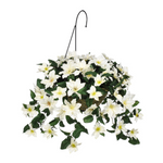 Artificial Clematis Hanging Basket - House of Silk Flowers®
 - White