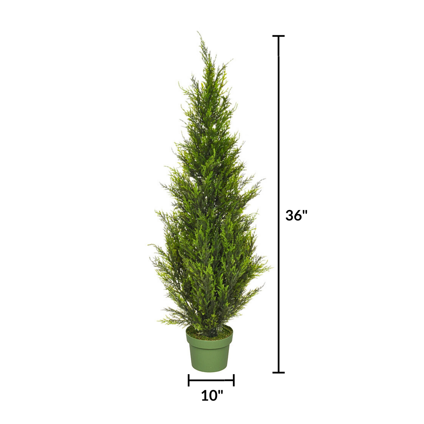 3ft Cedar Tree, measurement, House of Silk Flowers®