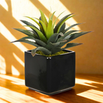 Artificial Star Succulent in Ceramic - House of Silk Flowers®
 - environment