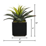 Artificial Star Succulent in Ceramic - House of Silk Flowers®
 - measurement