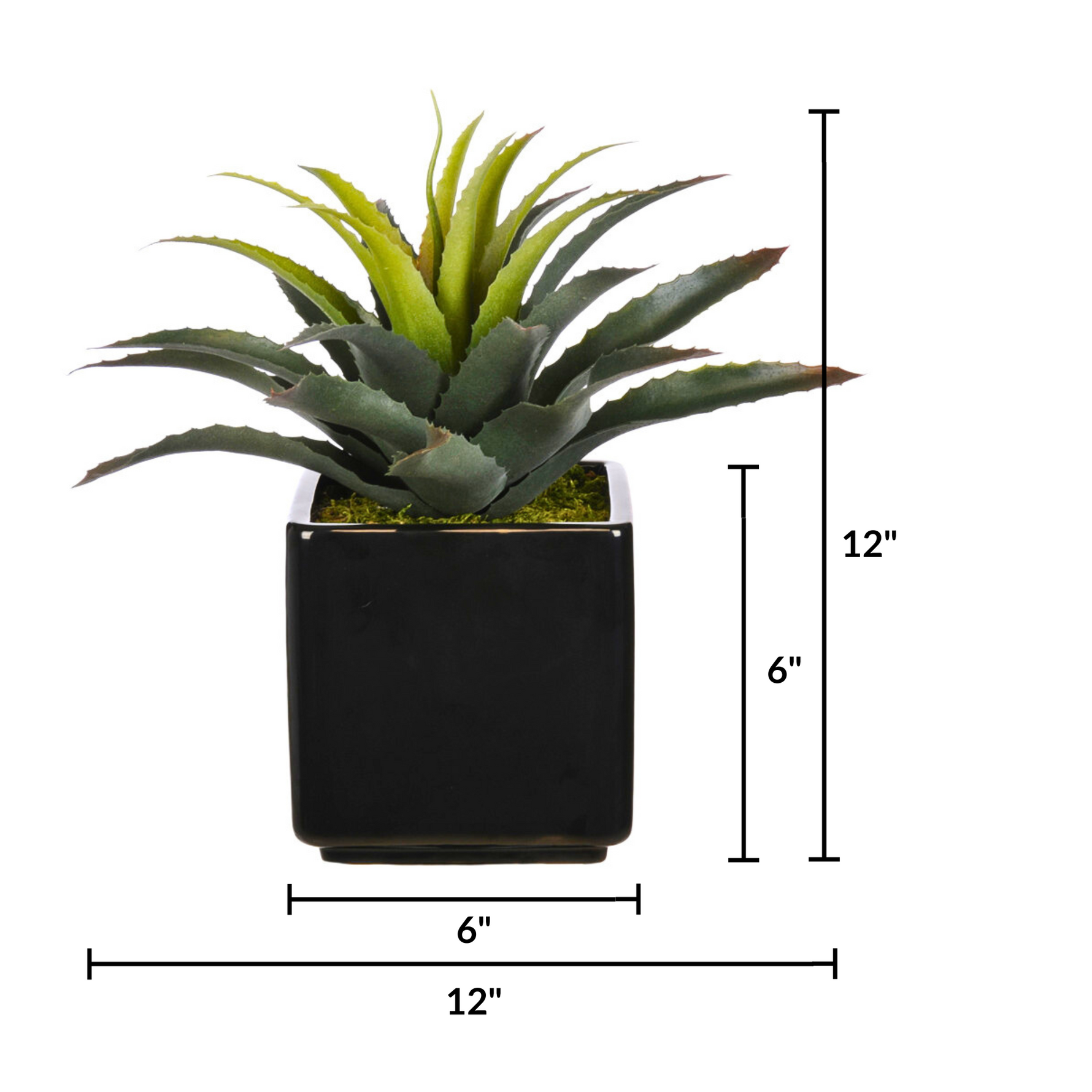 Artificial Star Succulent in Ceramic - House of Silk Flowers®
 - measurement