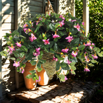 Artificial Fuchsia Hanging Basket - House of Silk Flowers®
 - 5
