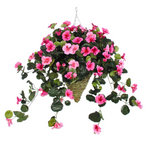 Hanging basket with pink flowers and green leaves on a white background