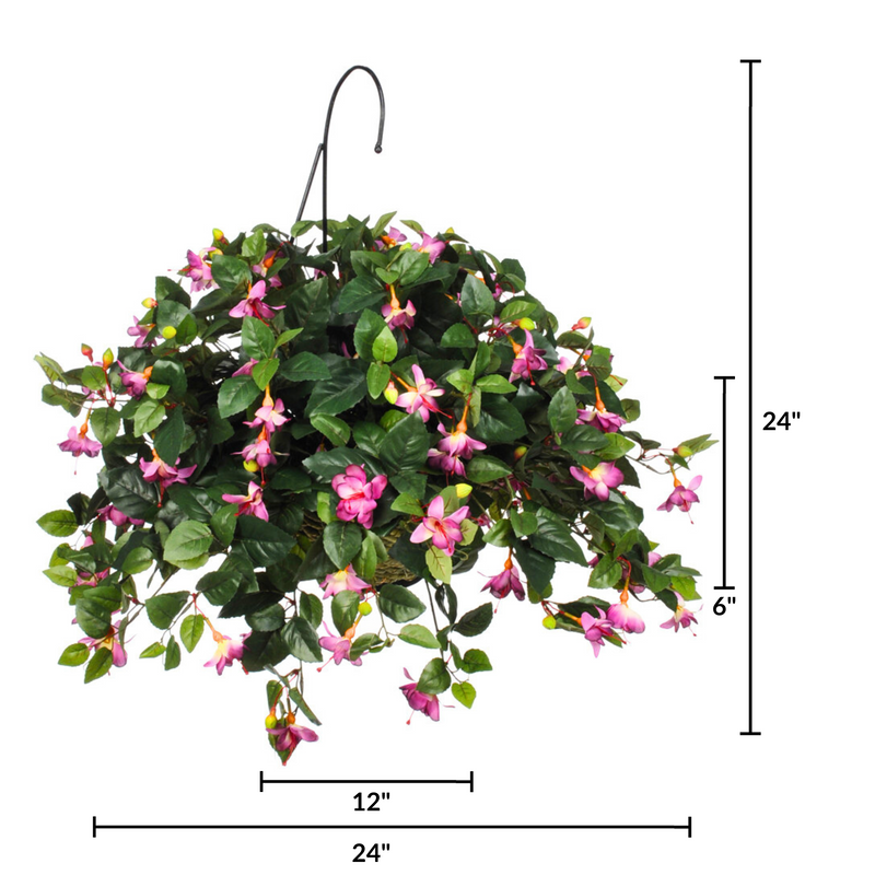 Hanging plant with pink flowers and green leaves, shown with measurements on a white background