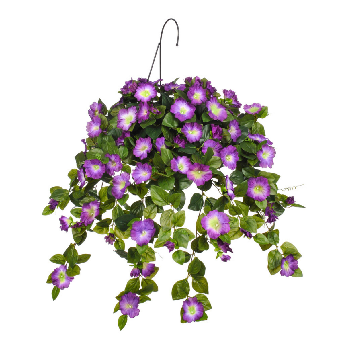 Hanging basket with purple flowers on a white background