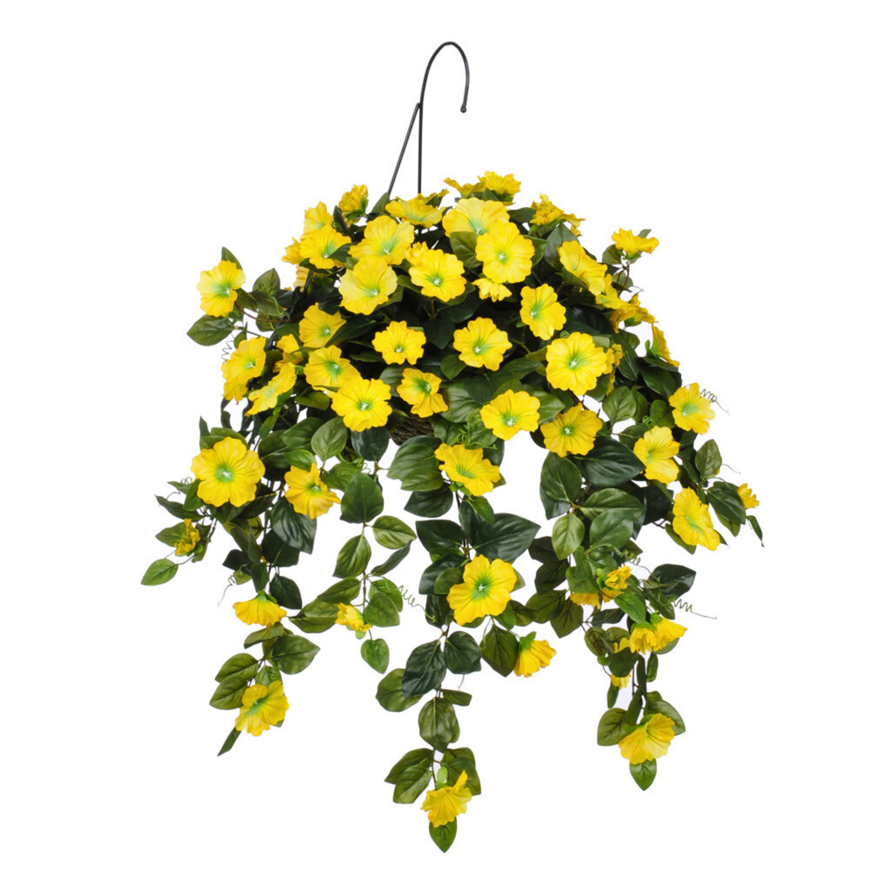 Hanging basket with yellow flowers on a white background