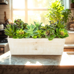 Green succulents in a white rectangular container on a kitchen counter with natural light.