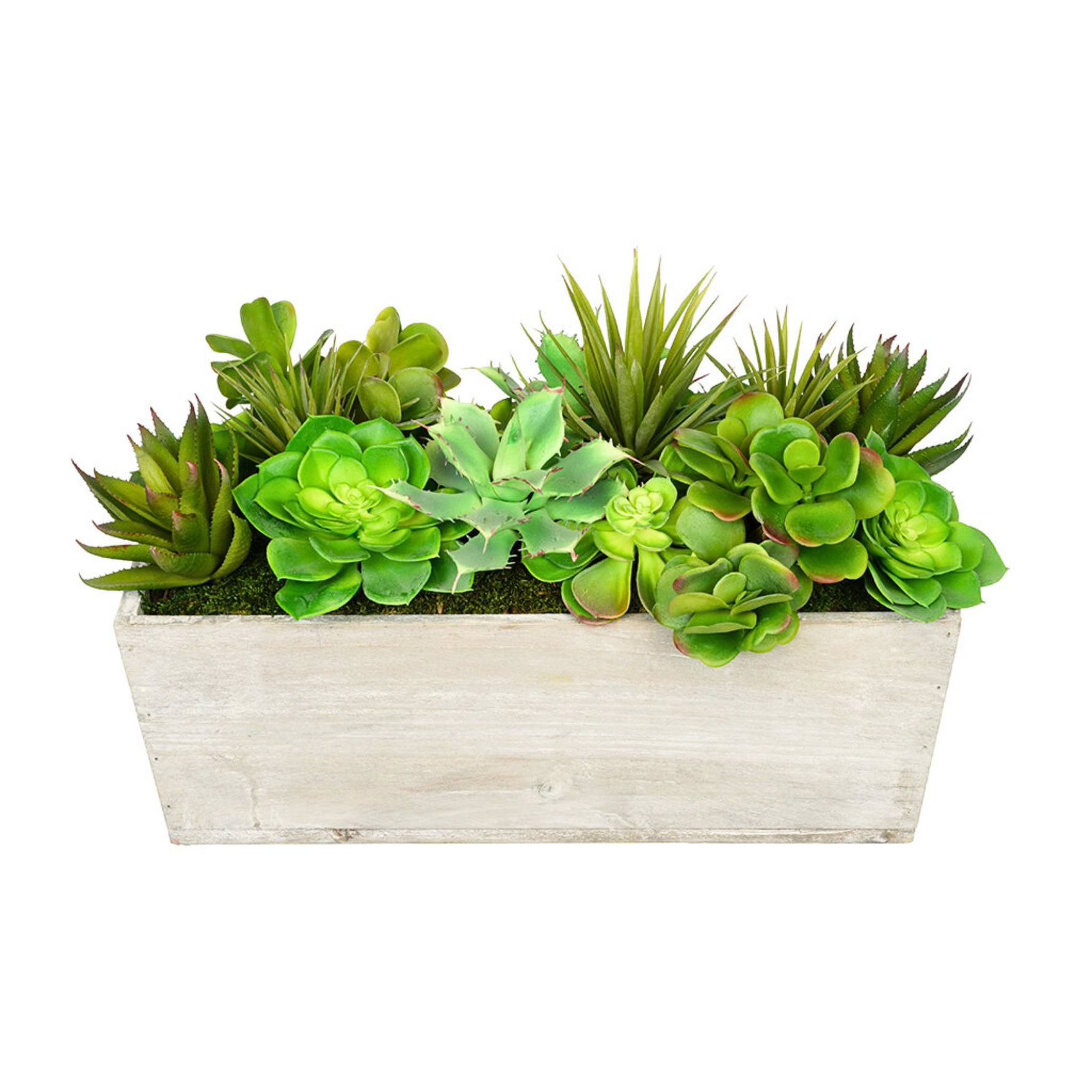Artificial succulent plants in a wooden planter on a white background