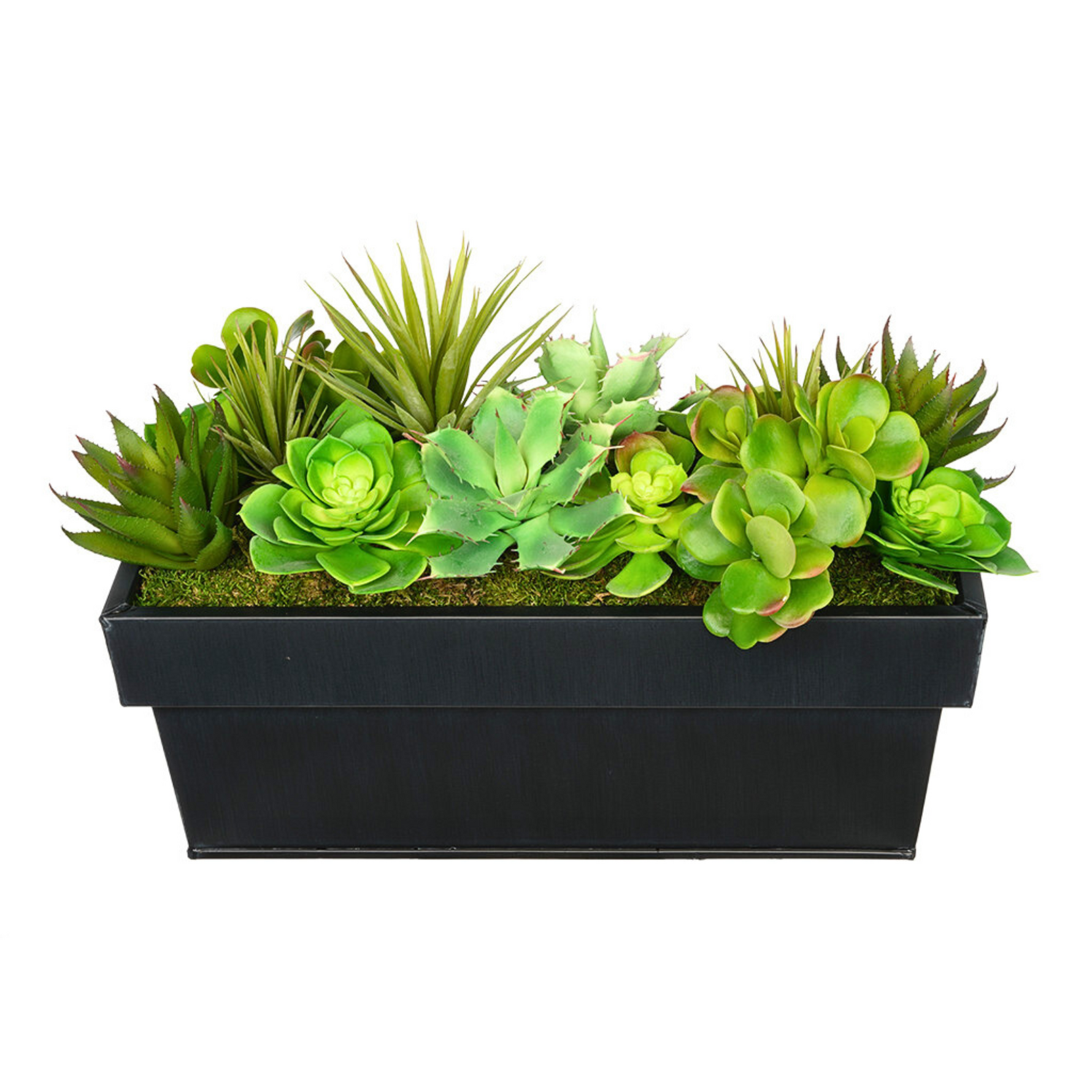 Artificial succulent arrangement in a black rectangular container on a white background