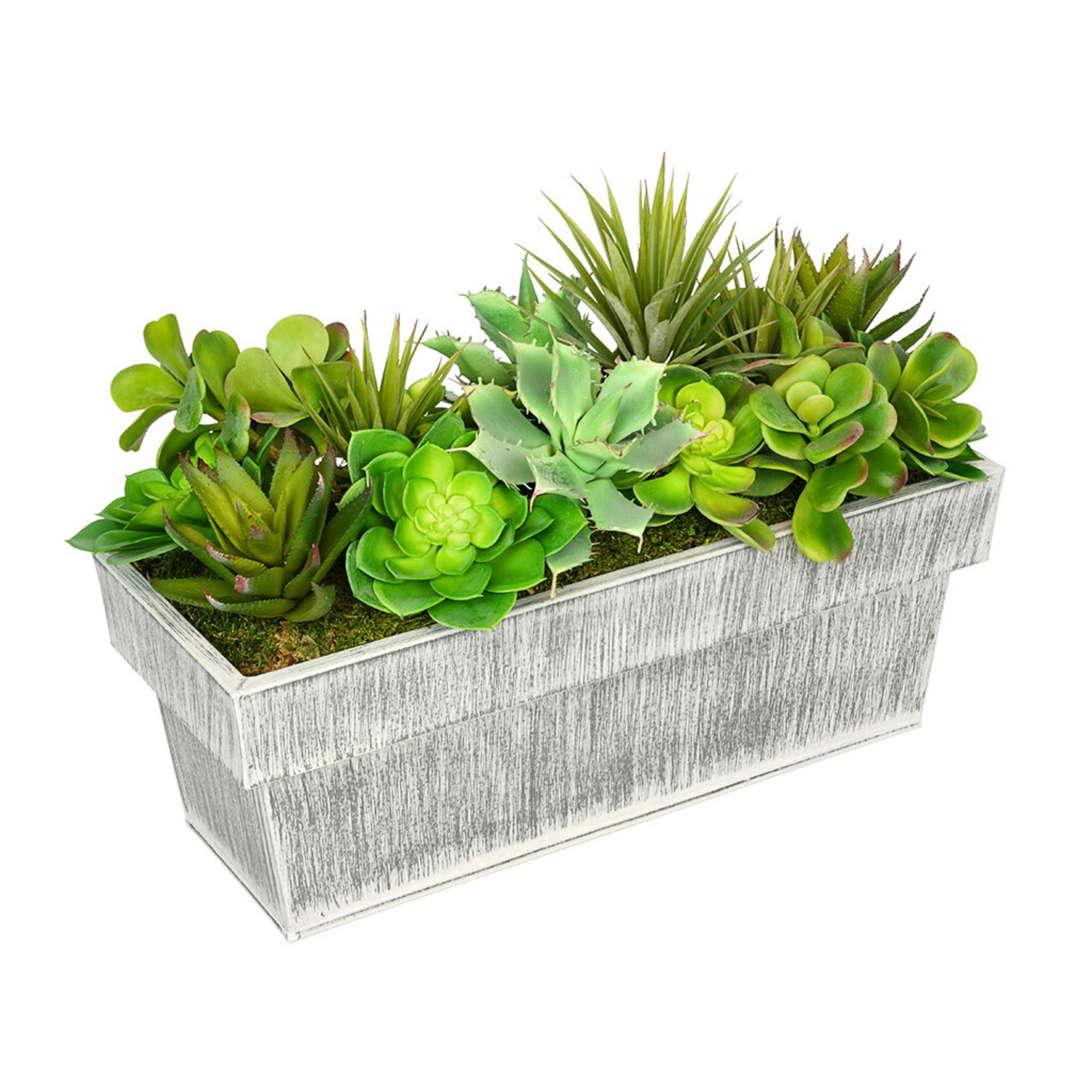 Faux succulents in potted container