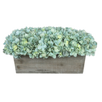 Teal hydrangea in rectangular grey ledge on white background