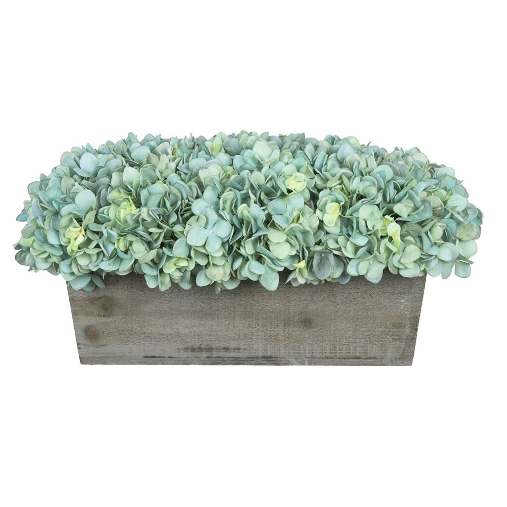 Teal hydrangea in rectangular grey ledge on white background