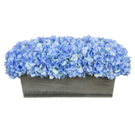 Blue hydrangeas in rectangular grey ledge on white background
